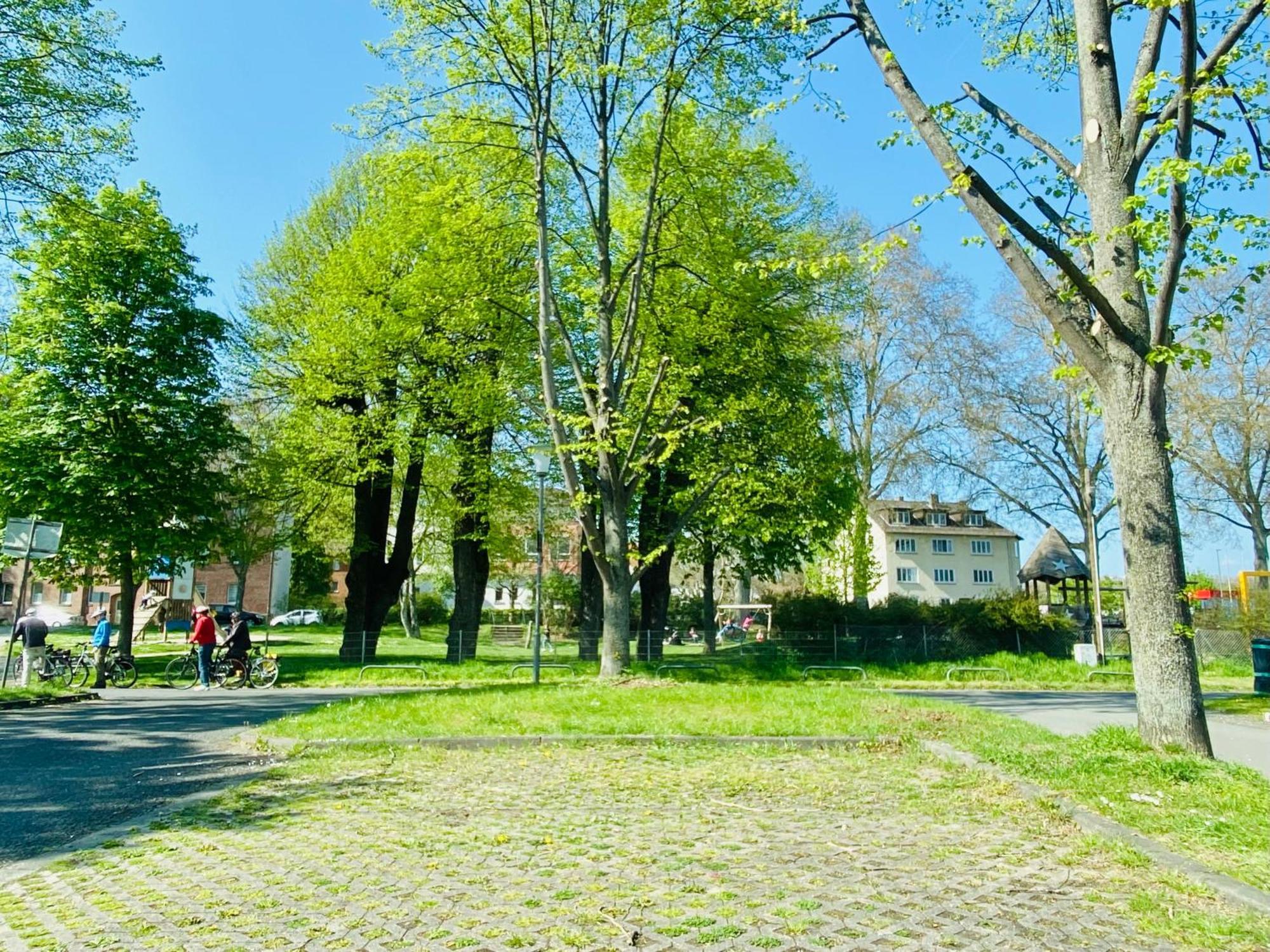 Kassel: Alles, Was Du Brauchst! Ngoại thất bức ảnh